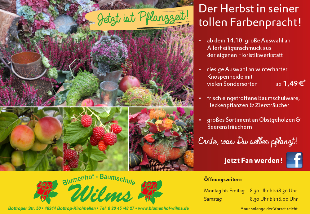 Der Herbst in deiner tollen Farbenpracht