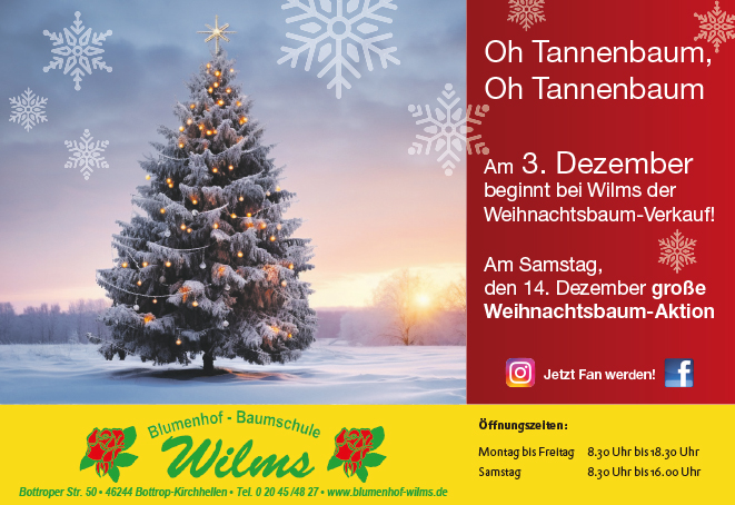 Oh Tannenbaum Oh Tannenbaum